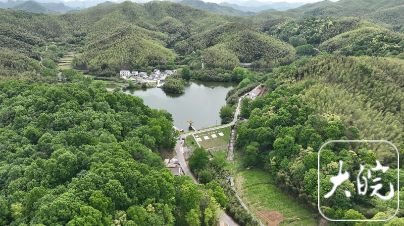 主流媒体齐聚芜湖板石岭赏华东最大古桂群开元棋牌试玩千年古桂引客来！全国多家(图2)