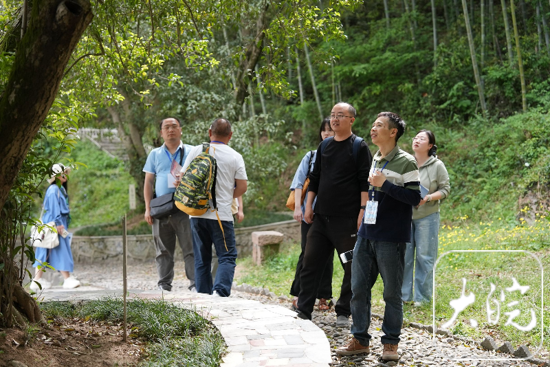 主流媒体齐聚芜湖板石岭赏华东最大古桂群开元棋牌试玩千年古桂引客来！全国多家(图3)